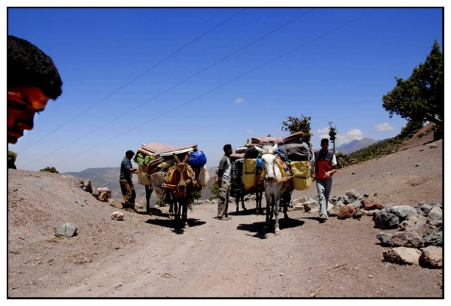 toubkal 63 kim.jpg